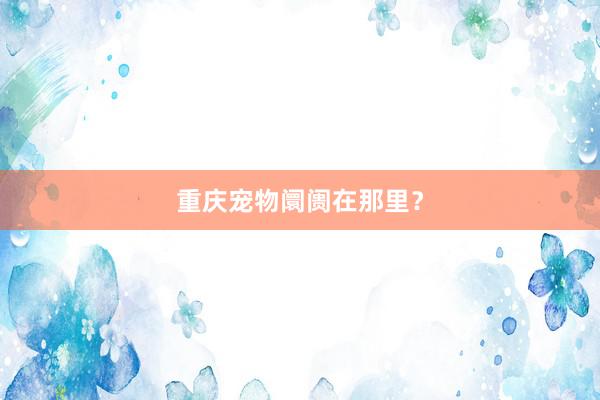 重庆宠物阛阓在那里?